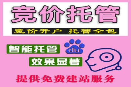 SEM代运营成功案例：助力企业业绩增长